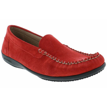 ARCOPDICO ALICE - ARCOPEDICO - Sole Desire Shoes